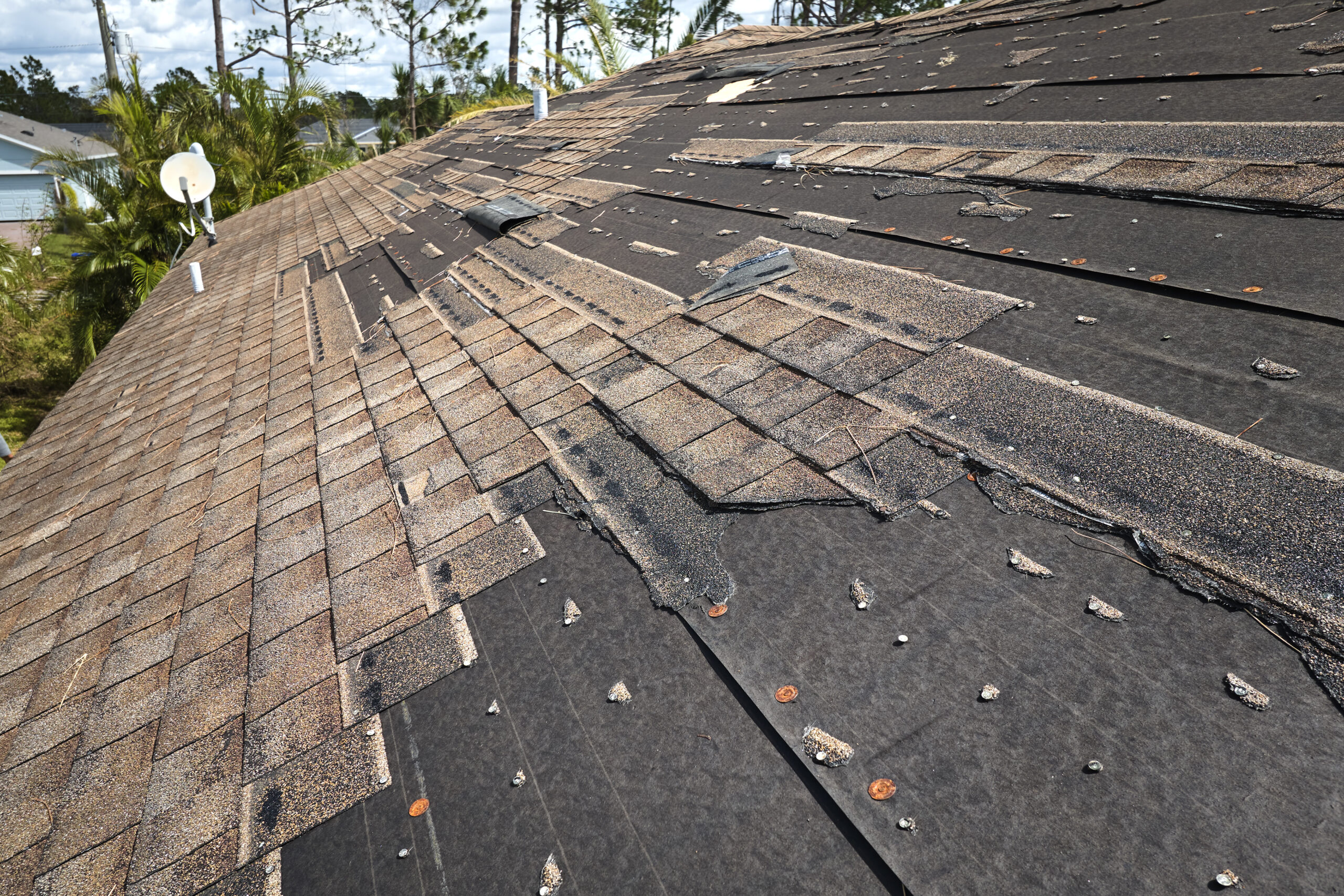 Wind damaged roof shingles | roof shingle replacement | Coastal Elite Roofing