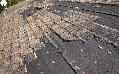 Wind Damage Roof Repair: Spotting & Fixing Storm Damage